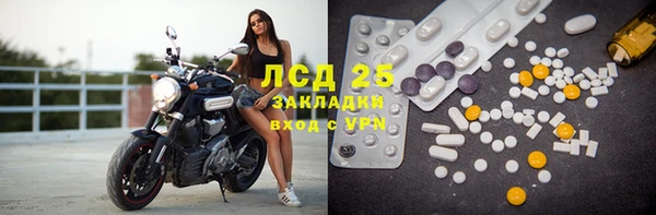 гидра Алексеевка