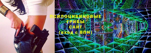 МДПВ Алзамай
