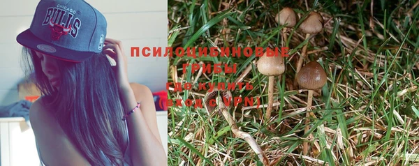 МДПВ Алзамай
