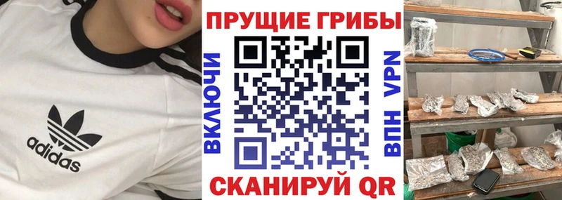 MEGA вход  Апшеронск  Галлюциногенные грибы мухоморы 